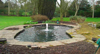 pond_with_fountain
