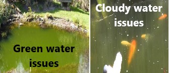 pond-water-quality-image